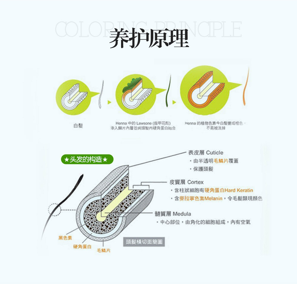 云梳护发粉上色原理